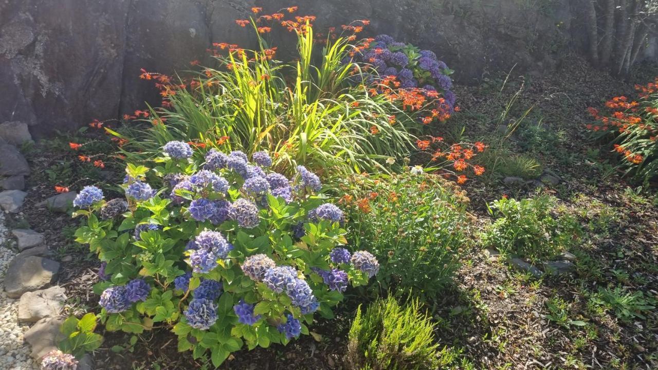 Fab View (Adults Only) Dingle Exterior foto