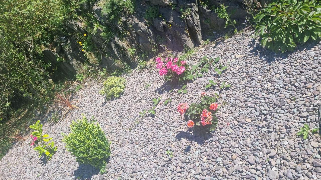 Fab View (Adults Only) Dingle Exterior foto
